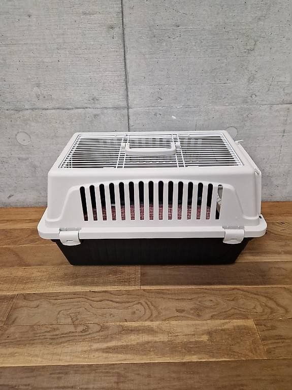 Gabbie, trasporto & Sicurezza: Hundetransportbox – Usato da Basel venduto da Angegiulio 1