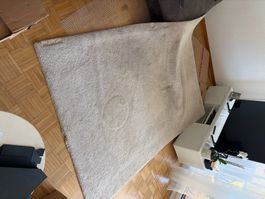 Teppich gebraucht mit einigen flecken.