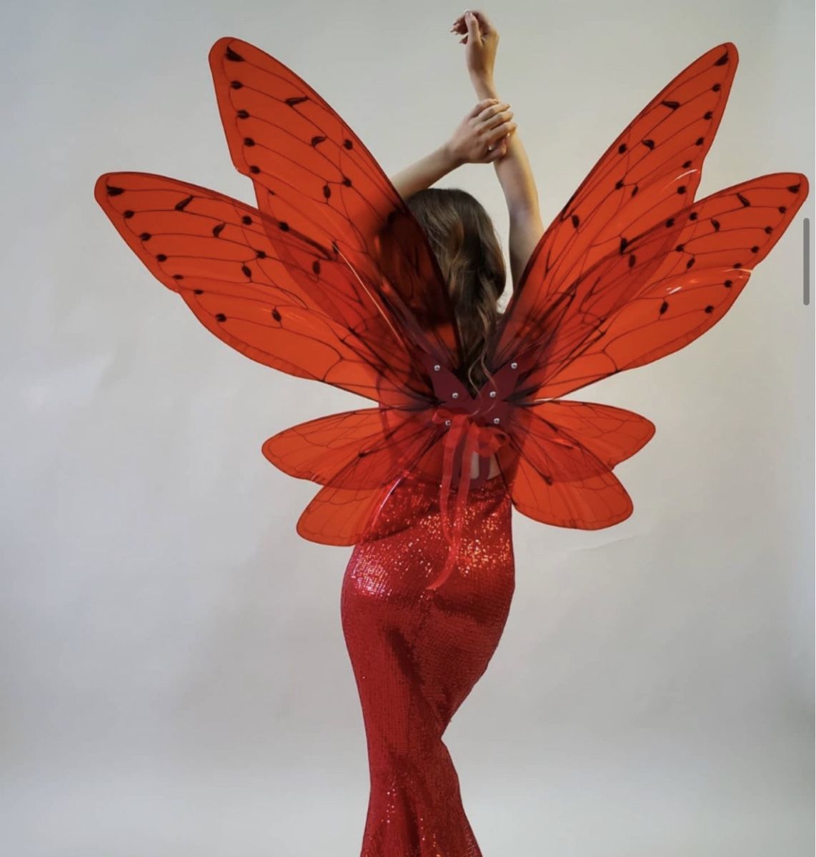 Kostüme: Shooting accessories / Cosplay / wings / Libellen Flügel – Gebraucht aus Olten von ale_nb2x