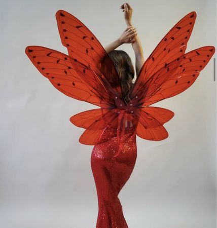Shooting accessories / Cosplay / wings / Libellen Flügel