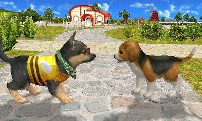 Nintendo Giochi: Petz Tierisches Strandleben  3DS – Usato da Schüpfheim venduto da Games_Spielkonsolen 4