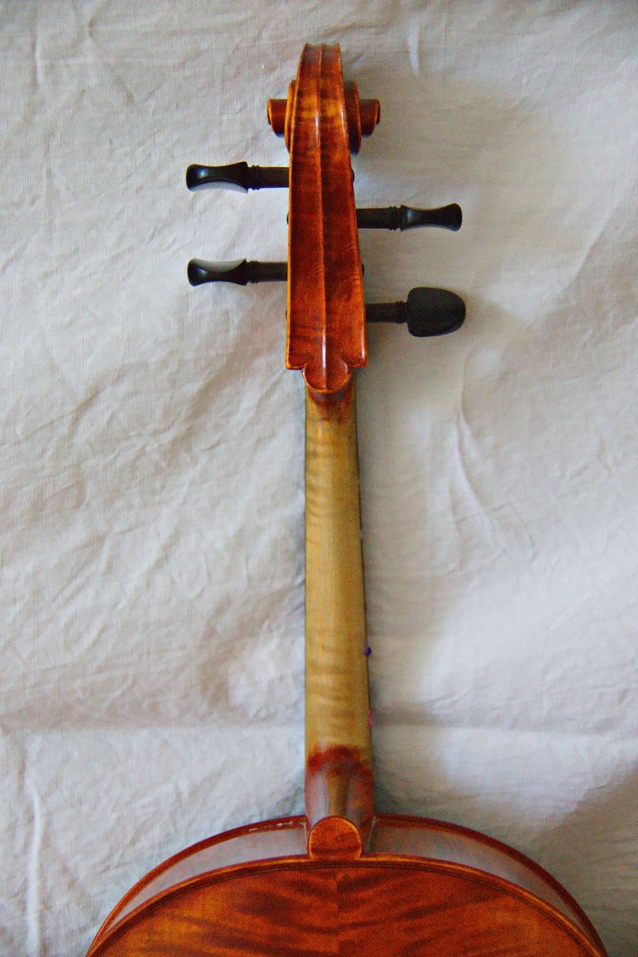 Strumenti musicali: Cello 1/2 – wunderschöner Klang, professionell eingestellt – Usato da Adliswil venduto da Doubleglass 7
