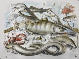 ROBERT BURKHARD LITHOGRAPHIE SIGNIERT NUMMERIERT PROBEDRUCK