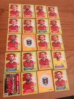 Panini Österreich AUT 2026