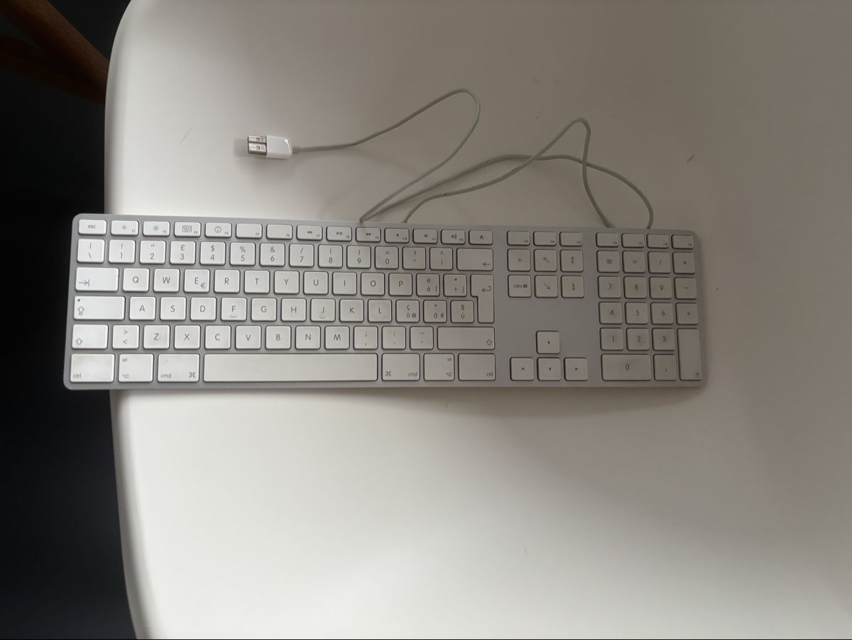 Apple Tastiere: USB Apple keyboard – Usato da Lugano venduto da fca_bfs9