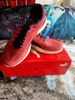 top sneakers von Puma neu
