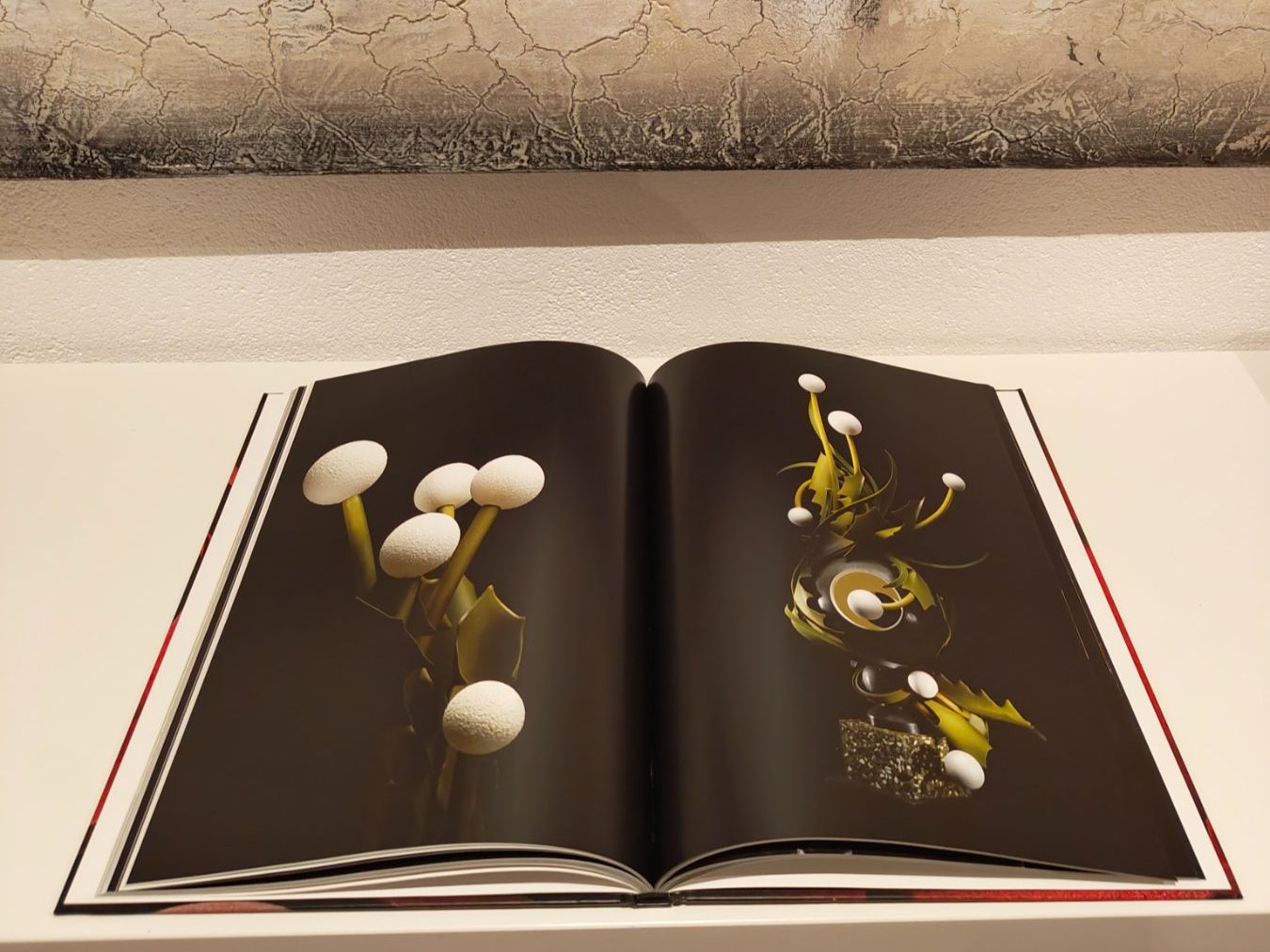 Libri: Stephan Leroux matiere chocolat – Usato da Birrhard venduto da Dave-C 2