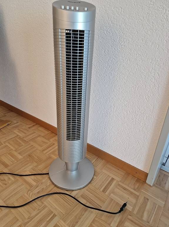 Ventilatori: Turmventilator Rowenta Eole – Usato da Kehrsatz venduto da McYuli