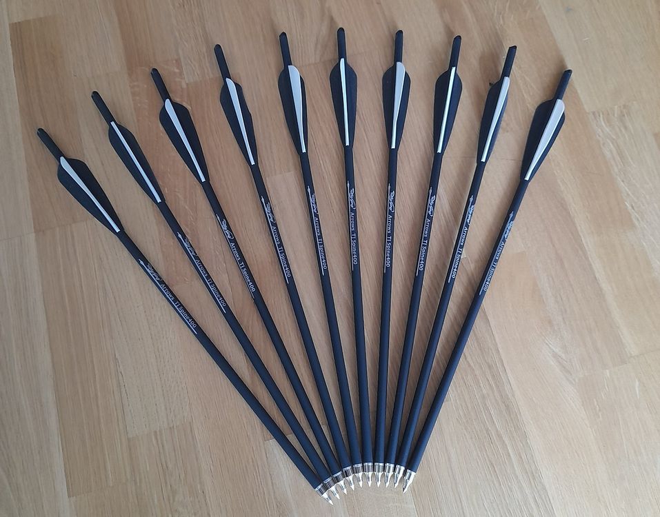 Pointe De Chasse NAP Swingfire 100 - 100 Grains - Lot De 3 Pour Carreaux D'arbalète