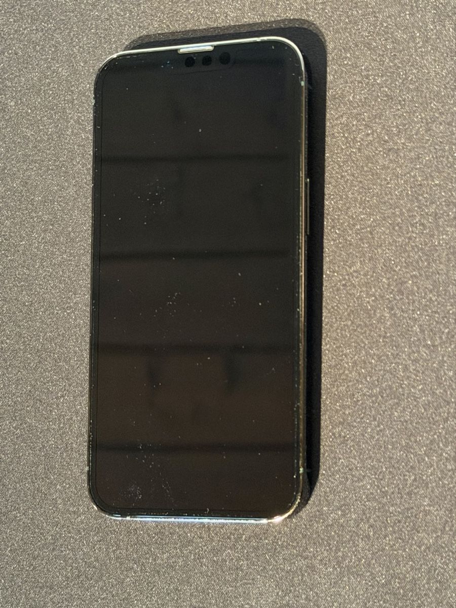Apple Telefoni cellulari / Smartphones: Iphone 13 Pro 128 GB in Alpingrün – Usato da Ilanz venduto da caui 2