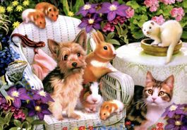 Süsses Alipson Puzzle "Haustiere" 1000 Teile