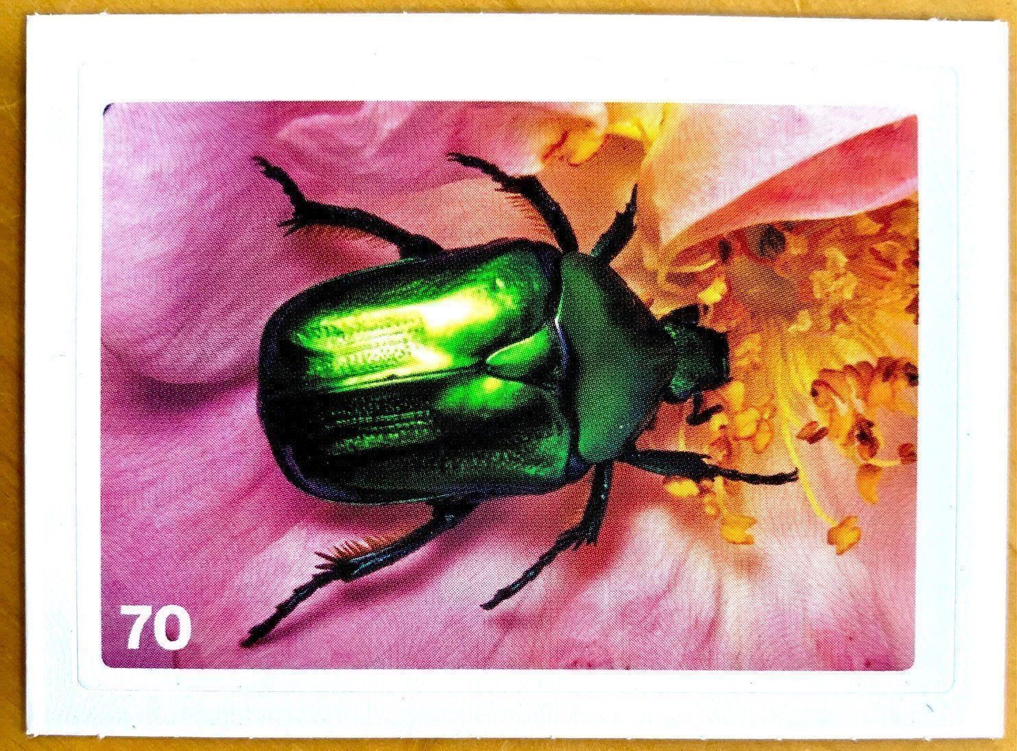 Migros Carte collezionabili: Migros Nature Detectives - Bild Nr. 70 – Nuovo (secondo la descrizione) da Oberrieden venduto da Zimmerberg10