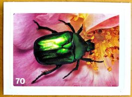 Migros Nature Detectives - Bild Nr. 70