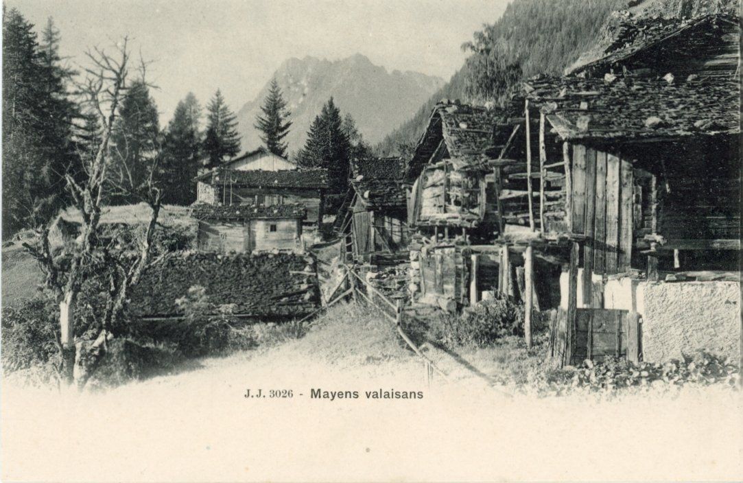 Ansichtskarten: Mayens de Sion   VS – Gebraucht aus Brig von Valcards54