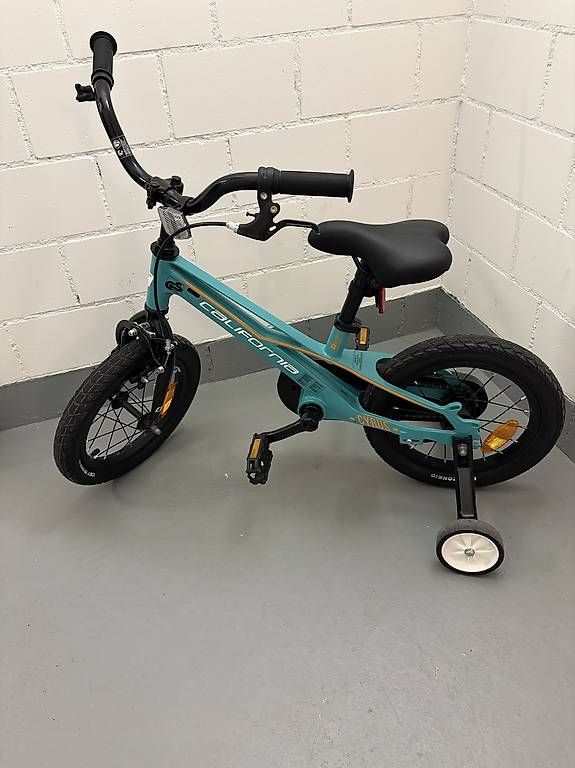 Biciclette: Fahhrad  – Usato da Inwil venduto da Fabio824