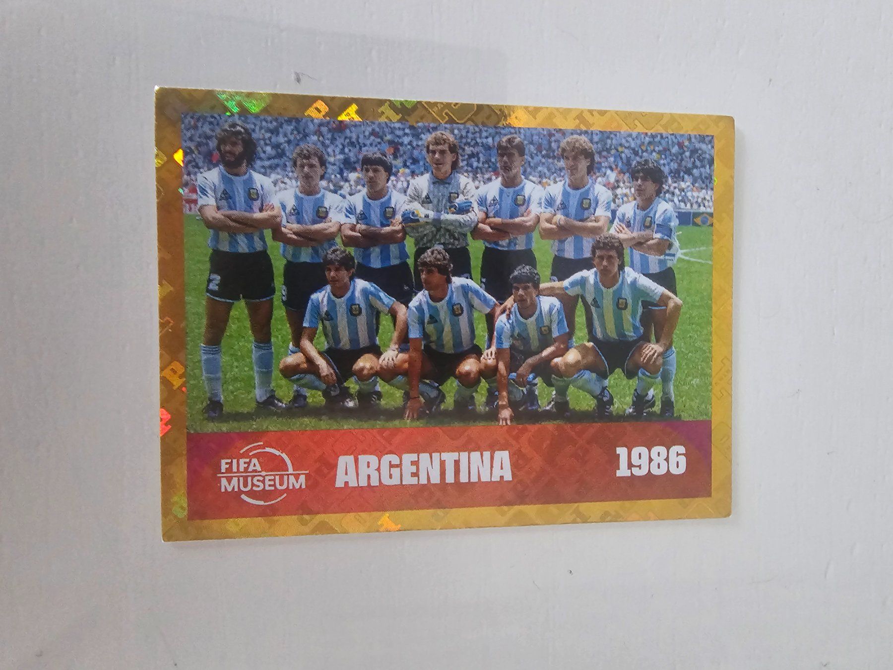 Panini Carte collezionabili: Fwc 14 – Usato da Pregassona venduto da sig_6v2k