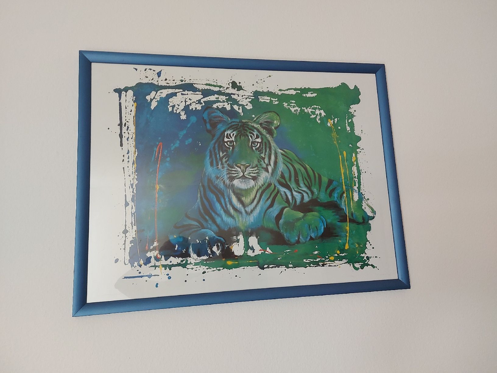 Foto & Immagini: schönes Tigerbild – Usato da Mönchaltorf venduto da Chriga80