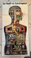 Fritz Kahn 1926 Original “Der Mensch als Industriepalast"