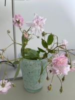 Vase dickes Glas Hellgrün Salbei weiss