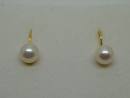 Boucle d'oreille or jaune 750 avec perles 6.5mm