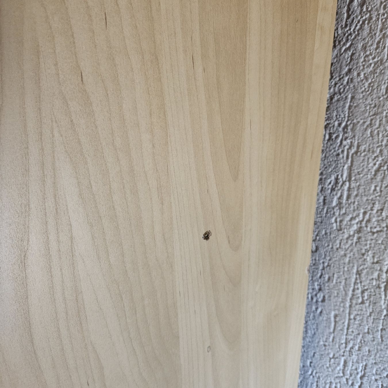 Armadi: Schöner Grosser Kleiderschrank ab 1.- – Usato da Eglisau venduto da kaya024 7