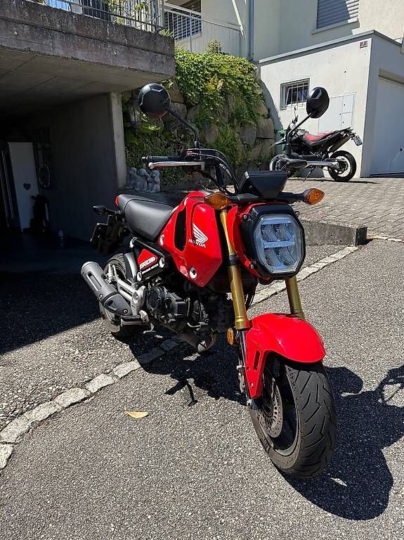 Strasse: Honda MSX 125 Grom – Gebraucht aus Zofingen von maetzgu