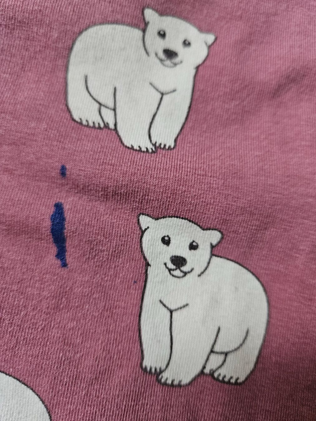 Smafolk Blusen, T-Shirts & Tops: Smafolk Shirt 134/140 Eisbär – Gebraucht aus Rifferswil von fle_5nqr 2