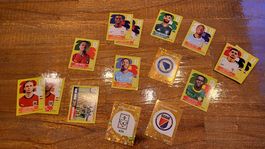 Panini Sticker 2026