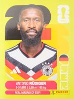 Panini FIFA World Cup GER 6