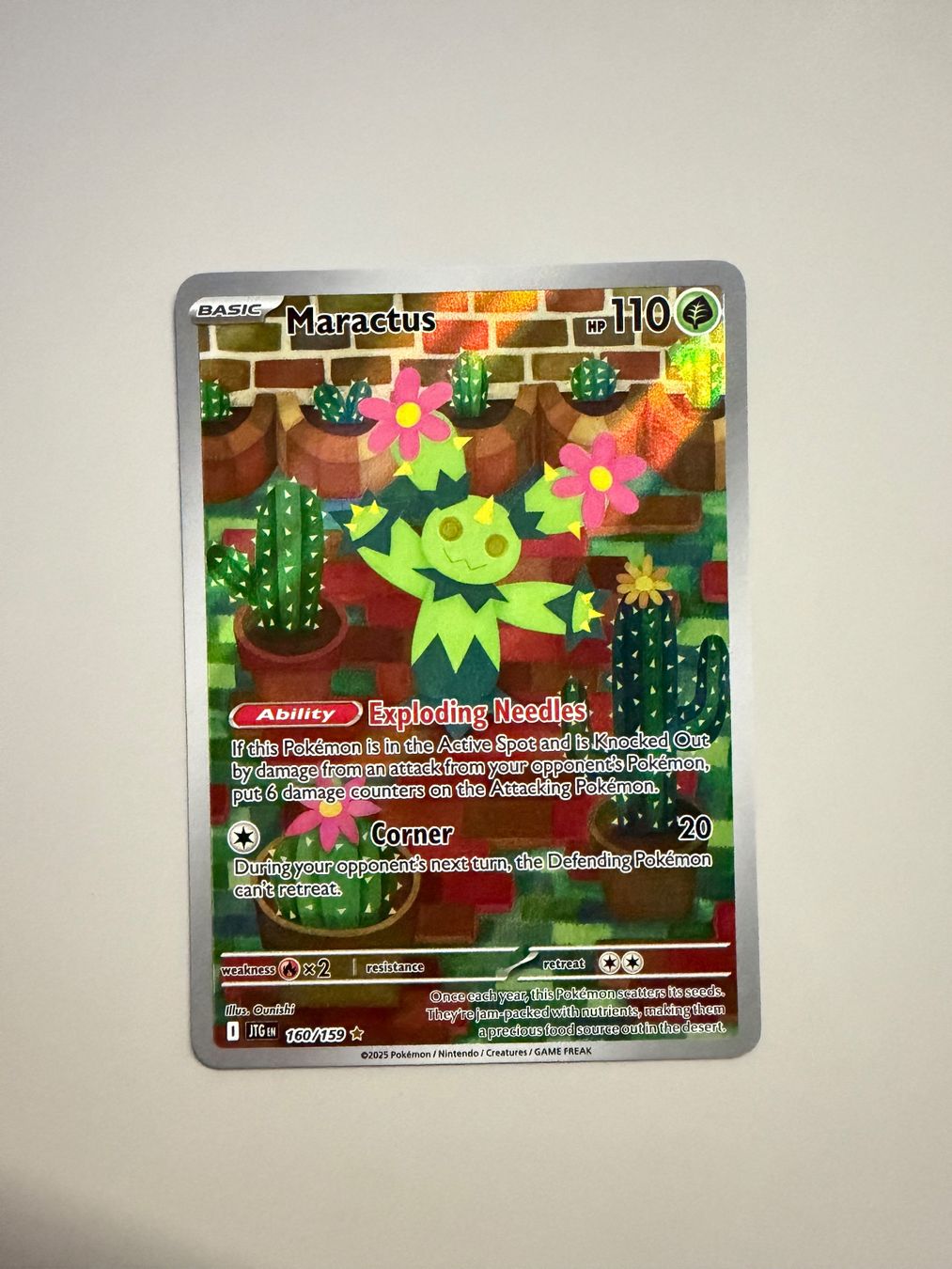 Pokémon Carte collezionabili: Maractus 160/159 – Nuovo (secondo la descrizione) da Niederhasli venduto da tcgpoint