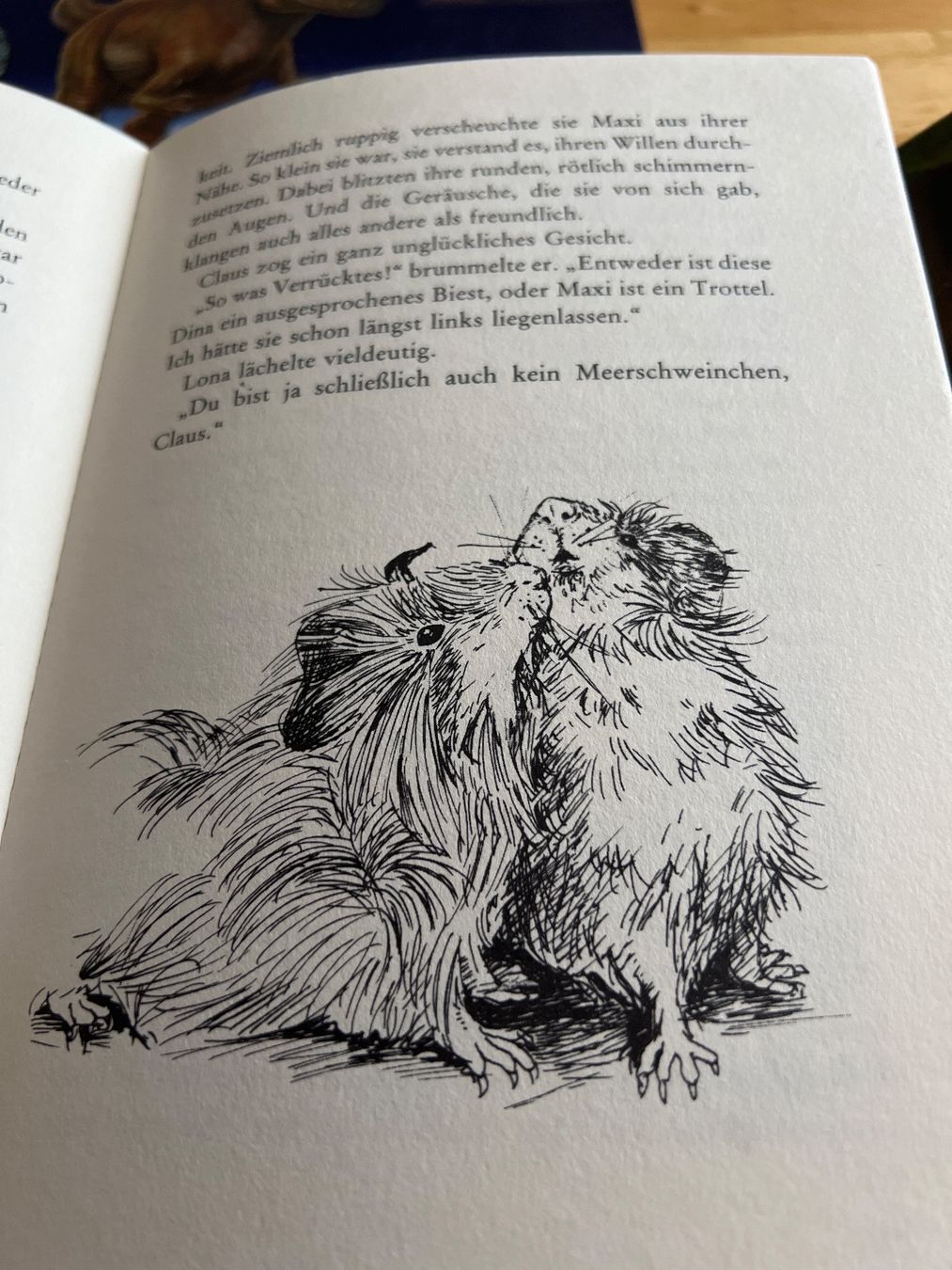 Libri: Loewe Tierbuch-Set: Maxi, Kiki, Anja – Usato da Wettingen venduto da Mbdc 2