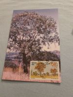 Carte postale vintage avec timbre - arbre et paysage!