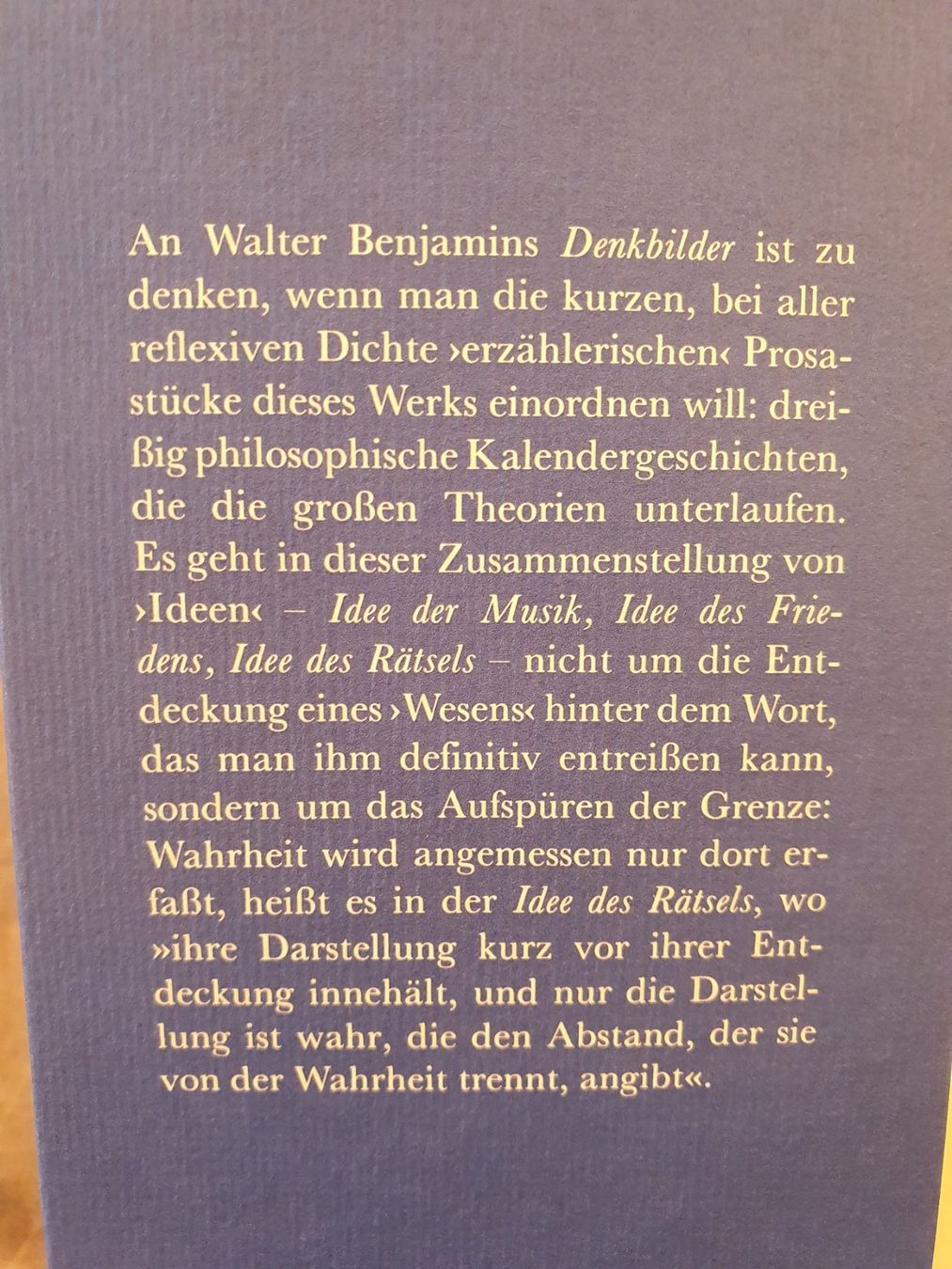 Bücher: Idee und Prosa - Giorgio Agamben - Hanser – Gebraucht aus Zürich von loosebone 1