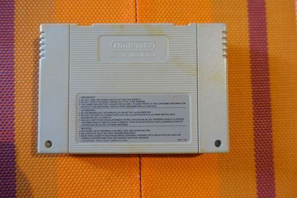 Nintendo Giochi: Double Dragon V – Usato da Steinach venduto da Gamecet 1