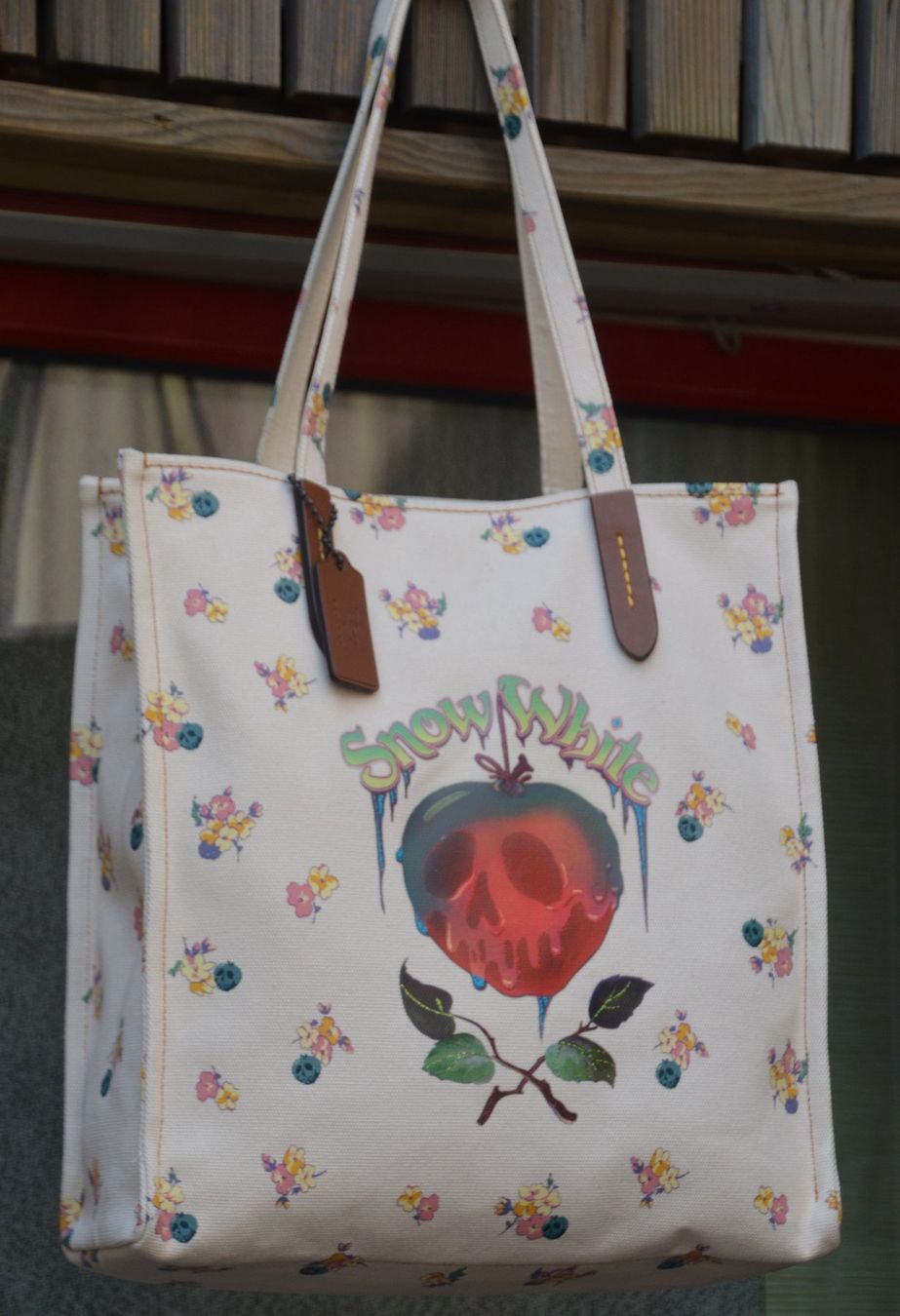 Coach Borse da donna: Coach - Disney Tascge / sac – Usato da Collonges venduto da arashee