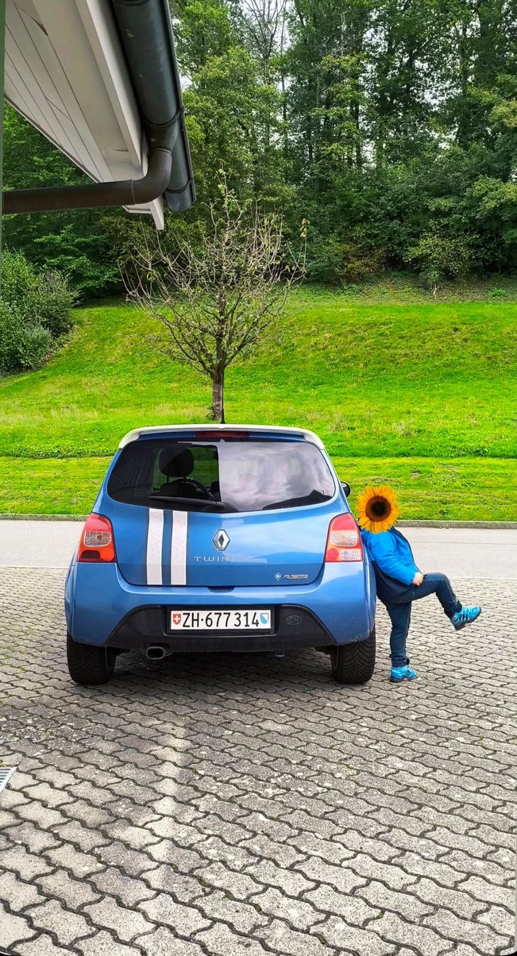Renault Automobili: Renault Twingo RS Gordini – Usato da Zweidlen venduto da xp4 5
