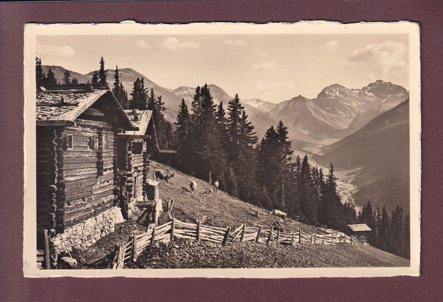 Cartoline postali: DAVOS - Clavadeler-Alp - Sertigtal – Usato da Pully venduto da nicecards