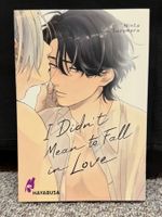 BL Manga: I didn’t mean to fall in love