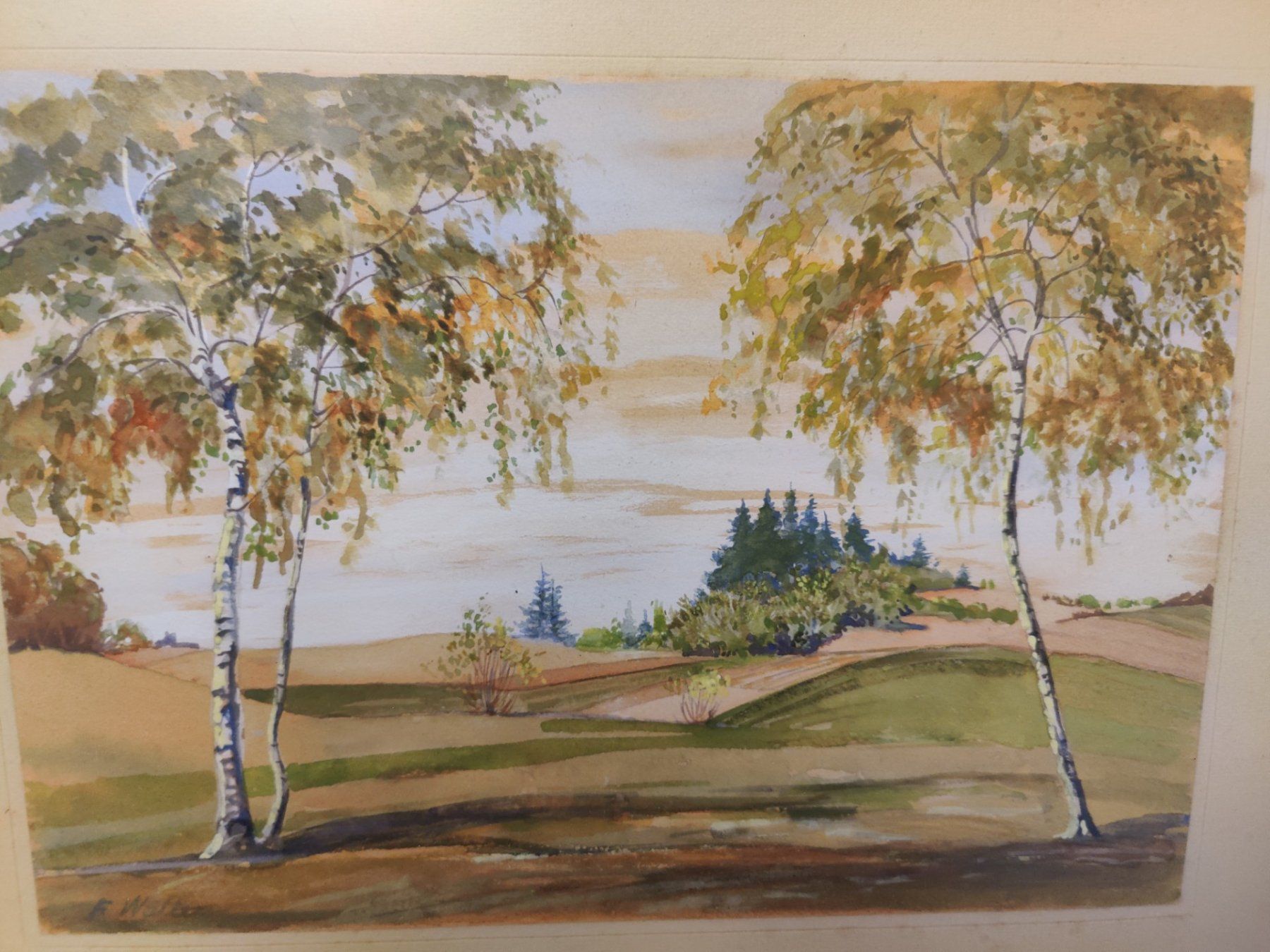 Dipinti: Aquarell  Baum/Landschaft von F. Waller – Usato da Binningen venduto da blackhorse08 3
