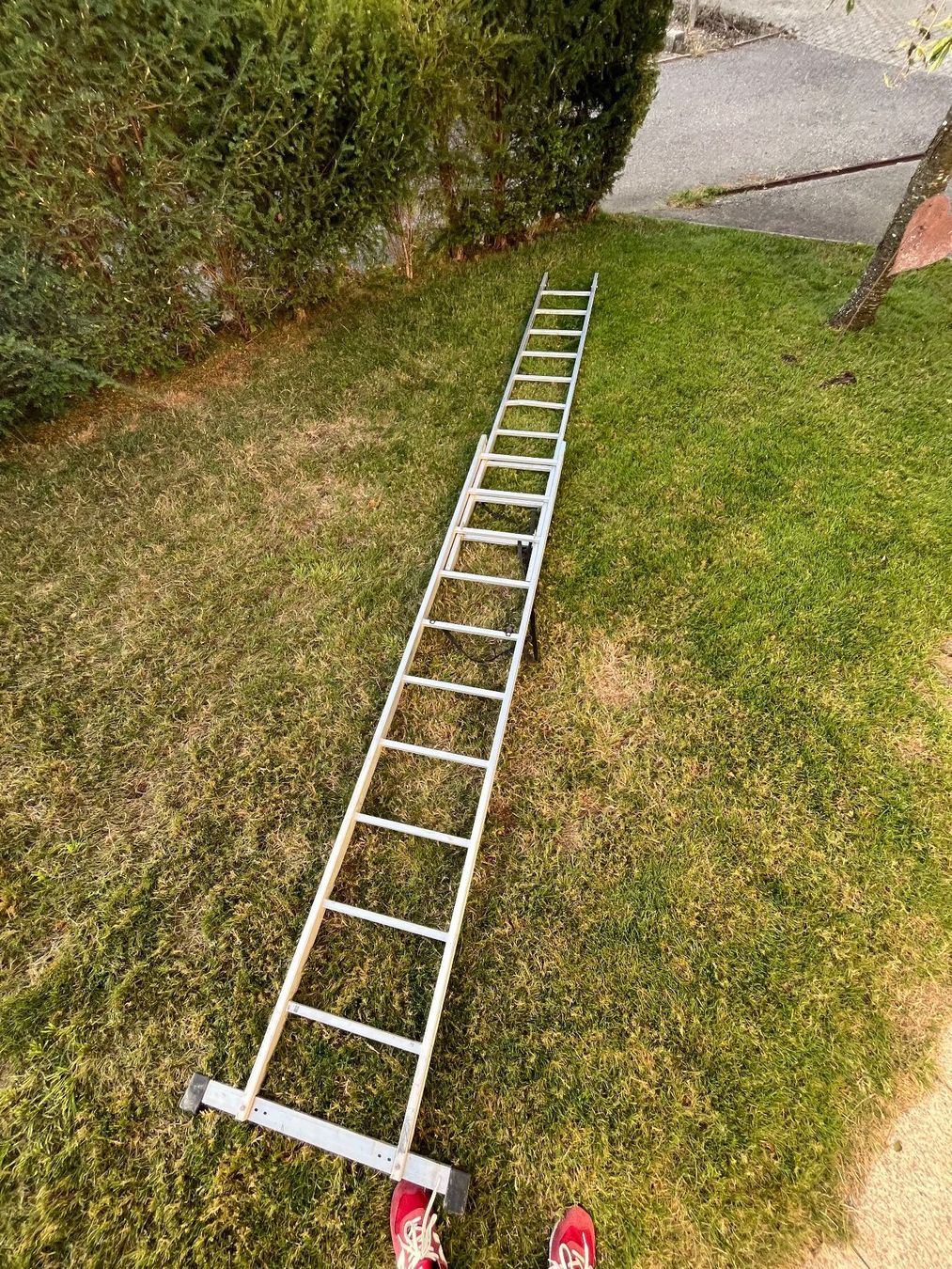 Leitern: Leiter – Gebraucht aus Ehrendingen von Frizli 5