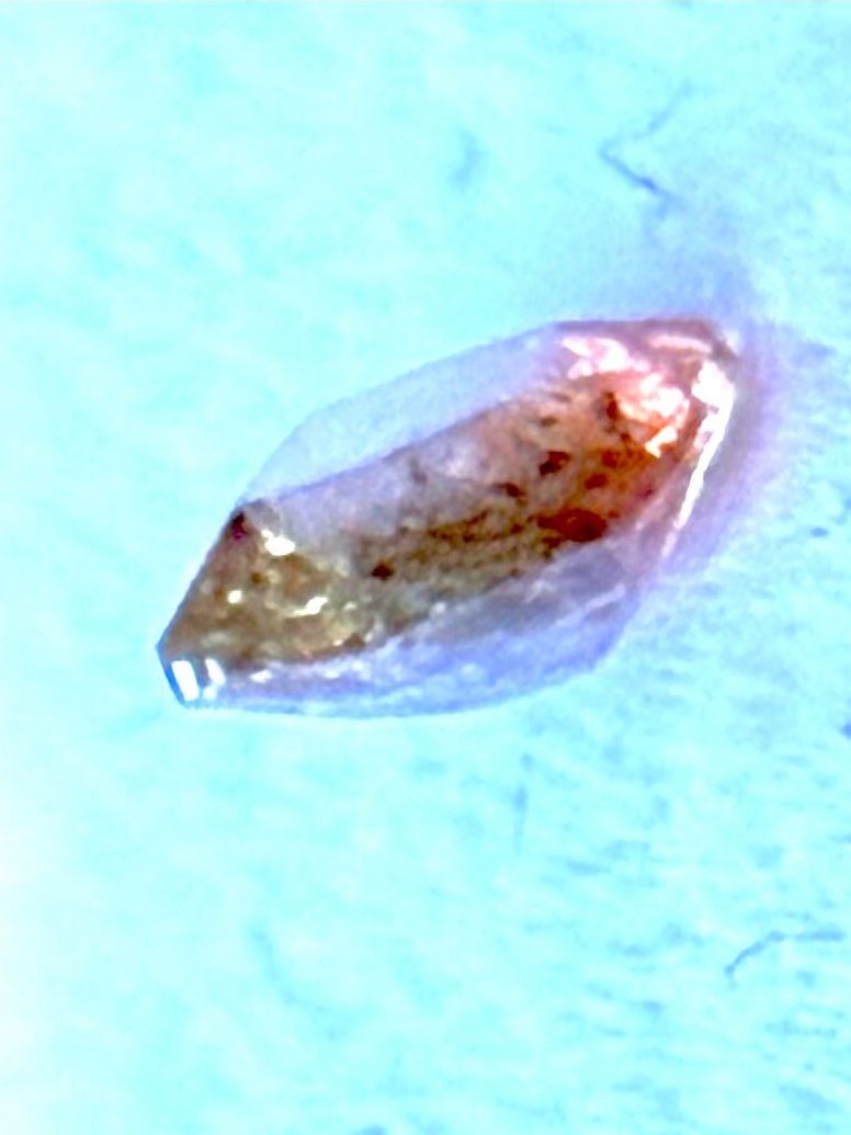 Pietre preziose: Eleganter Mandarinefarbener ev. Dolomit 0,3ct – Nuovo (secondo la descrizione) da Zuerich venduto da SonderArt-Wertgut 3