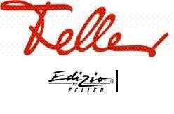 Feller Spine: Feller AP Fehlerstrom-Schutzsteckdose Typ 13 10A 30mA – Nuovo e nell'imballaggio originale da Villmergen venduto da Elektro-Mueller 1