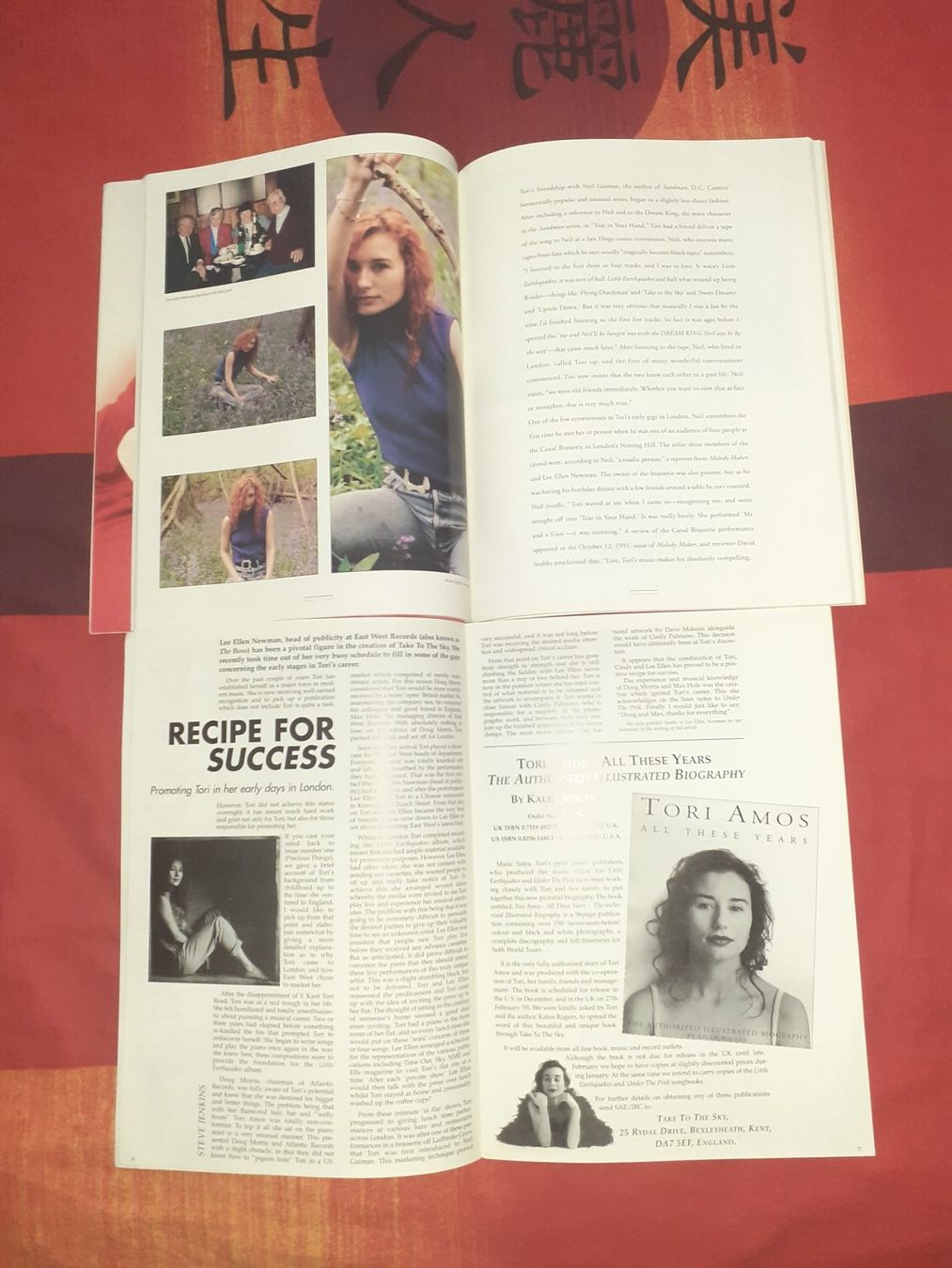 Livres: Tori Amos – D'occasion à Liebefeld par type013 2