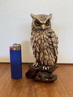 Eule 🦉 Eulen Figur aus Kunstharz Resin Heimdeko 🔝 Zustand 