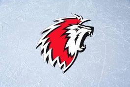 LHC-Kloten 1 billet debout 17.10.2026 (abo)transport gratuit