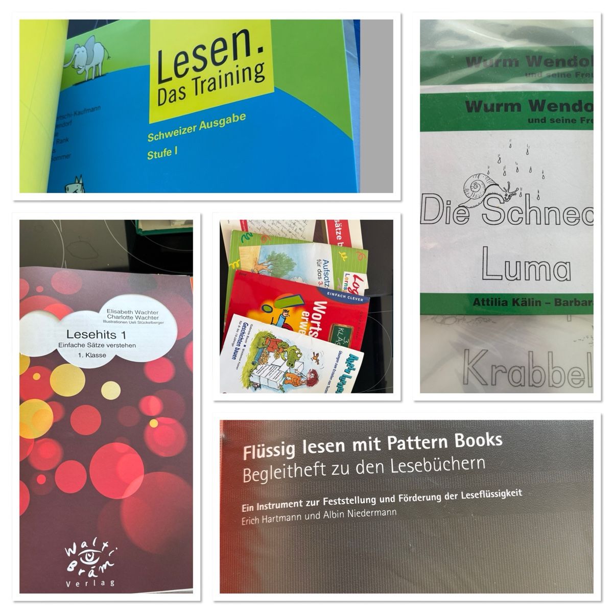 Raccoglitori: Unterrichtsmaterial Deutsch – Usato da Lenzburg venduto da IsabelleKaech 2