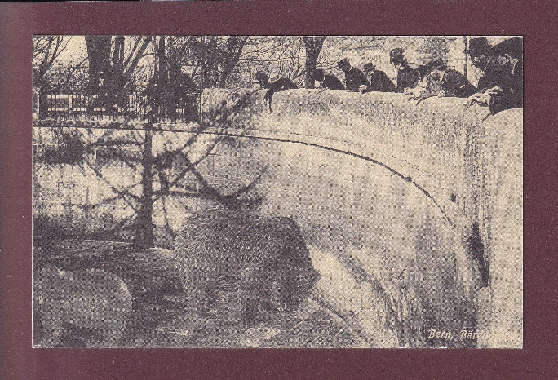 Cartoline postali: BERN - Bärengraben – Usato da Pully venduto da nicecards