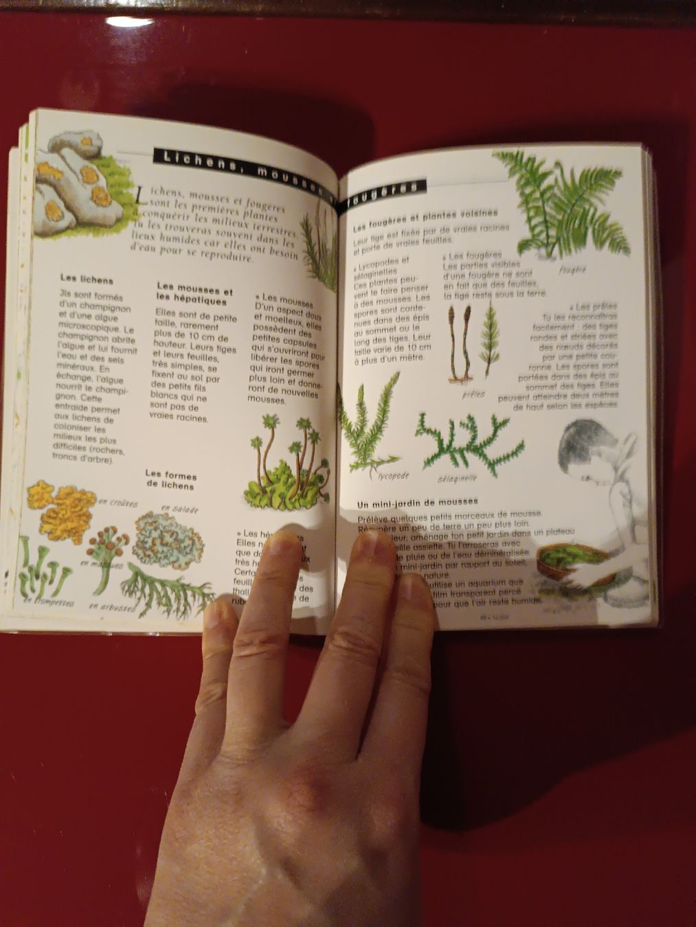 Livres: Guide du jeune Robinson - Nature – Neuf (Voir description) à Cornaux NE par Mimi983 3