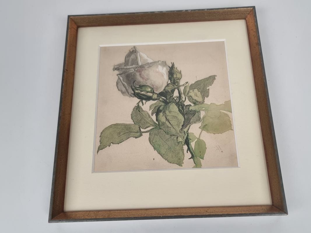 Foto & Immagini: Rosen Bild – Usato da Urtenen-Schönbühl venduto da Restwert_Schoenbuehl 3