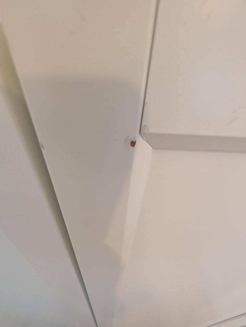 Ikea Scaffali: IKEA Billy / Oxberg Schrankwand mit Aufsatz – Usato da Zürich venduto da iwx 1
